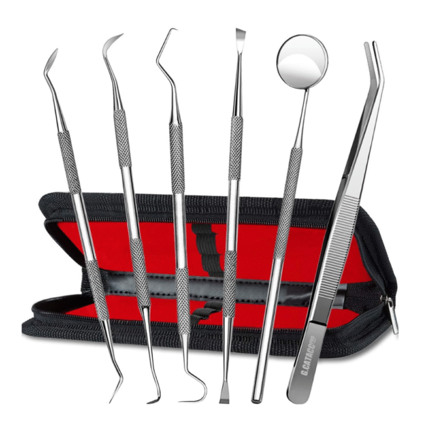 G.CATACC Dental Tools, Dental Pick Teeth Cleaning Tools