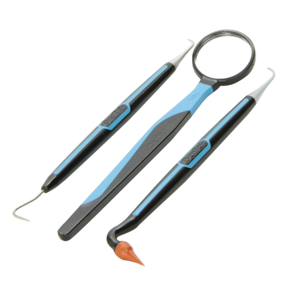 DenTek Premium Oral Care Kit - Dental Pick